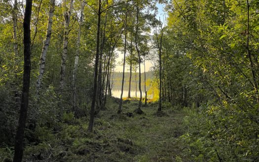Sklypas prie Urkio ežero