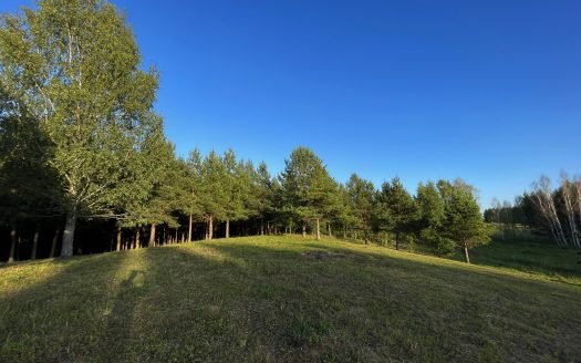 Sklypas prie Urkio ežero