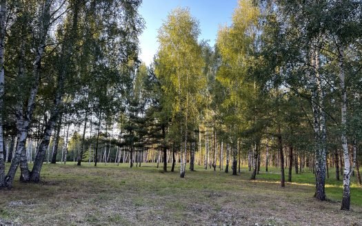 Sklypas prie Urkio ežero